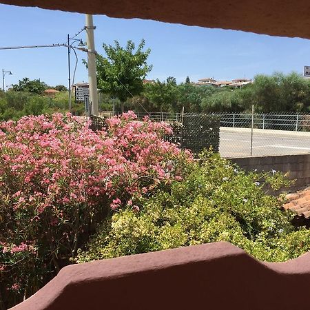 فيلا Il Fenicottero Rosa أولبيا المظهر الخارجي الصورة