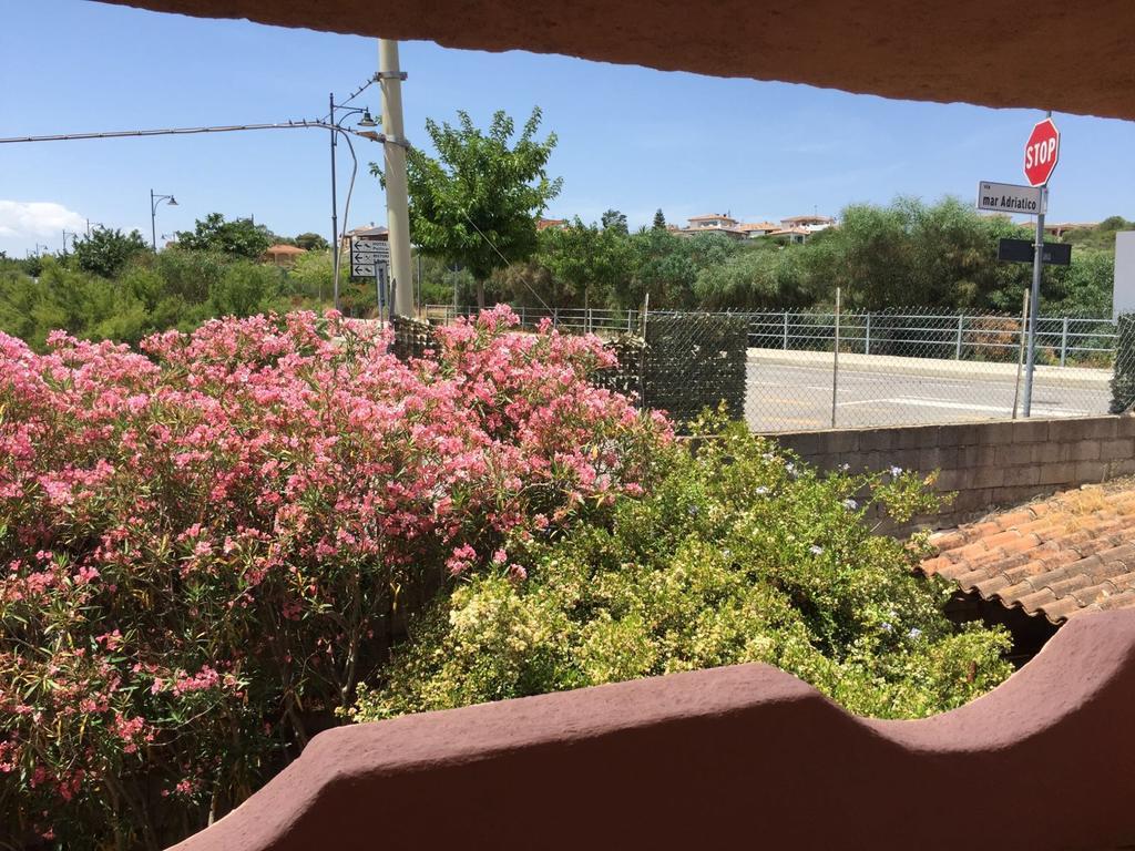 فيلا Il Fenicottero Rosa أولبيا المظهر الخارجي الصورة
