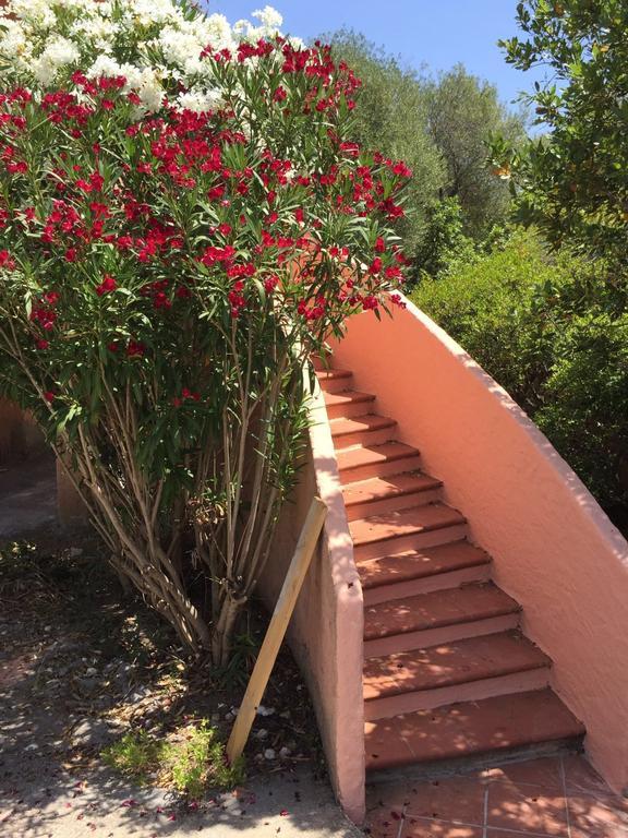 فيلا Il Fenicottero Rosa أولبيا المظهر الخارجي الصورة